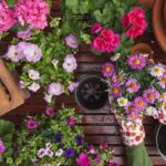 cursos de jardinería en línea