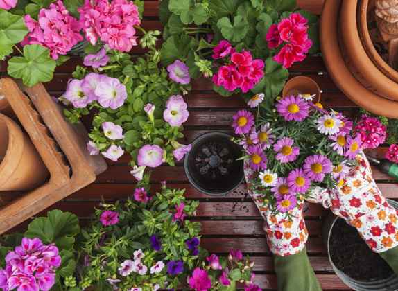 cursos de jardinería en línea